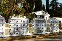 Άγιοι Ανάργυροι